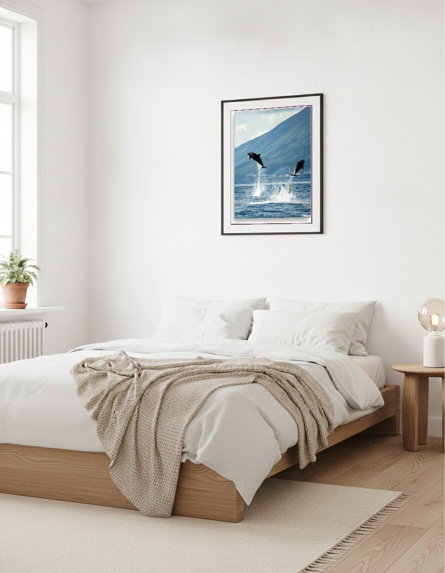 Dolphin i sovrummet