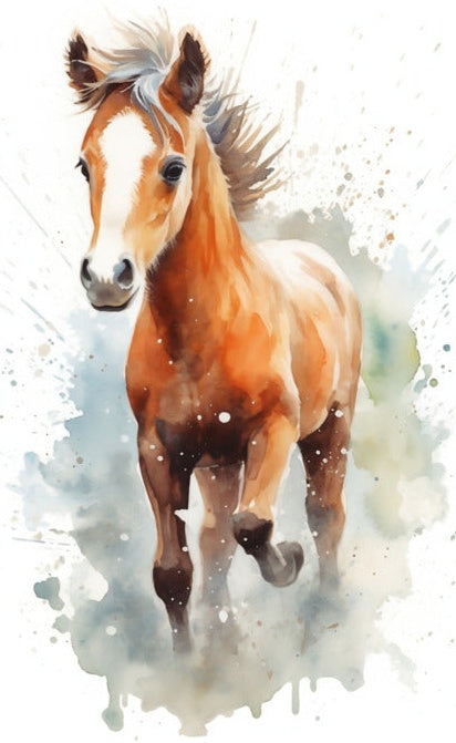 Baby horse – Vibrant watercolor