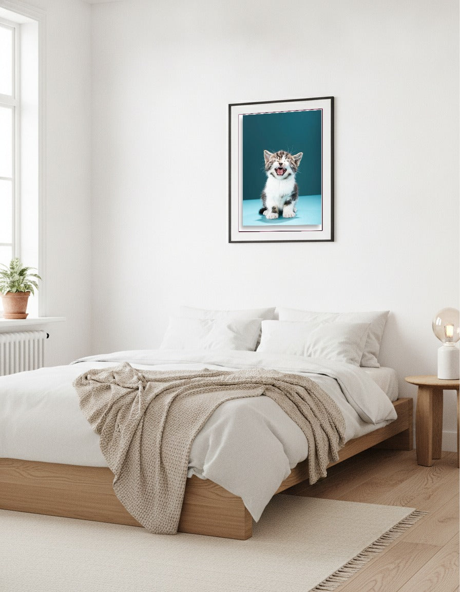 Katt i vardagsrummet