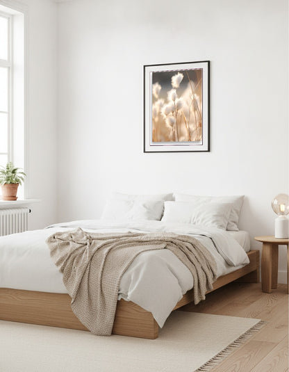 Cottongrass – Golden backlight i sovrummet