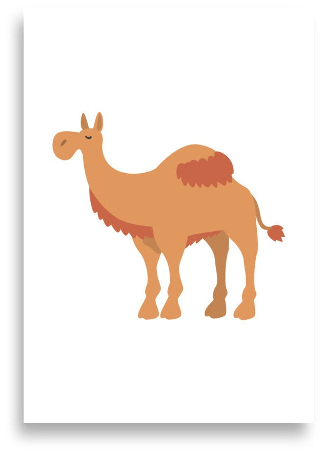 Dromedary