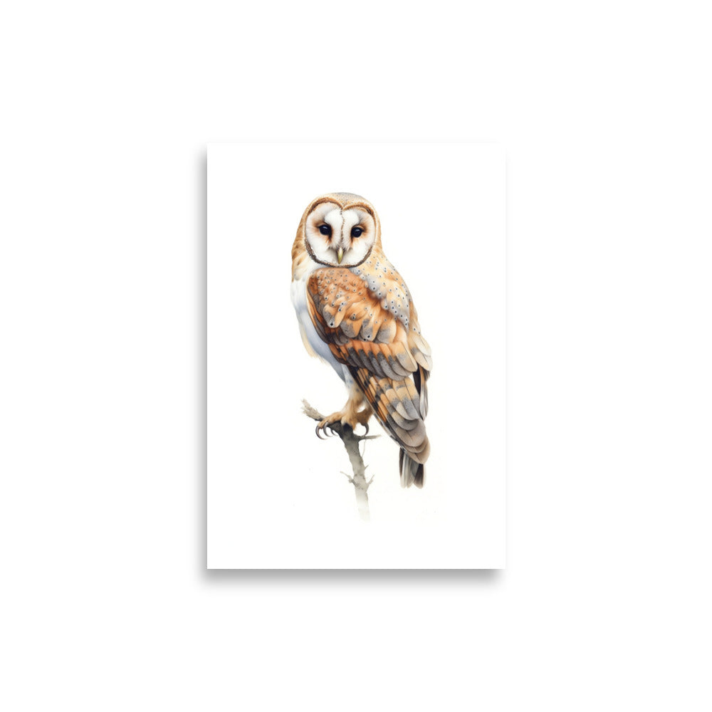 Owl poster - Posters - EMELART