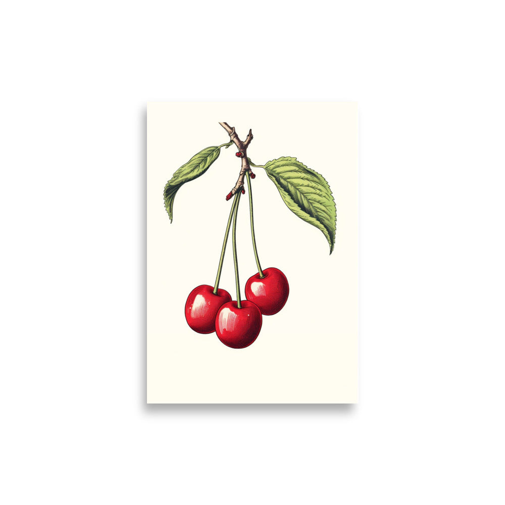 Cherry poster - Posters - EMELART