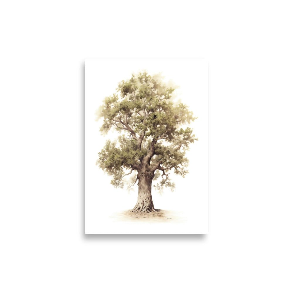 Oak tree poster - Posters - EMELART