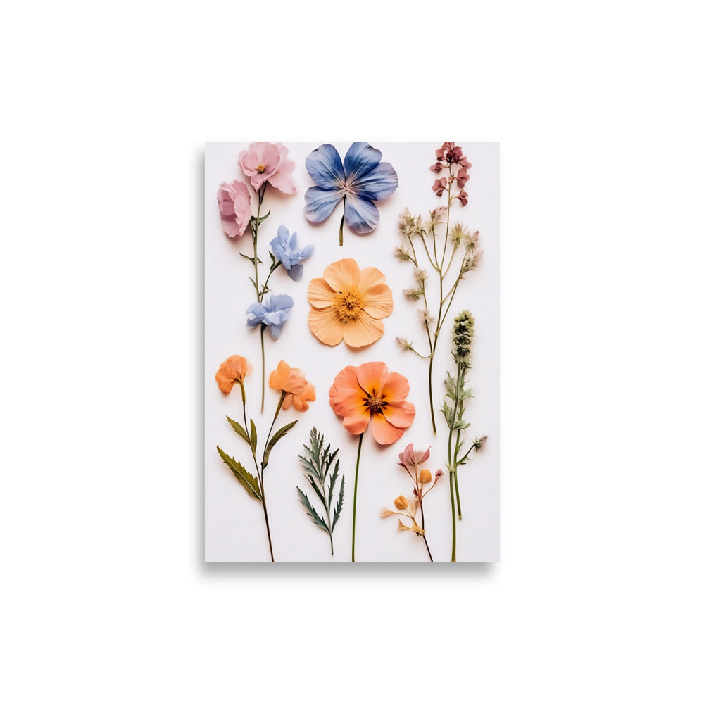 Pressed flowers poster - Posters - EMELART