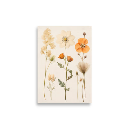 Pressed flowers poster - Posters - EMELART