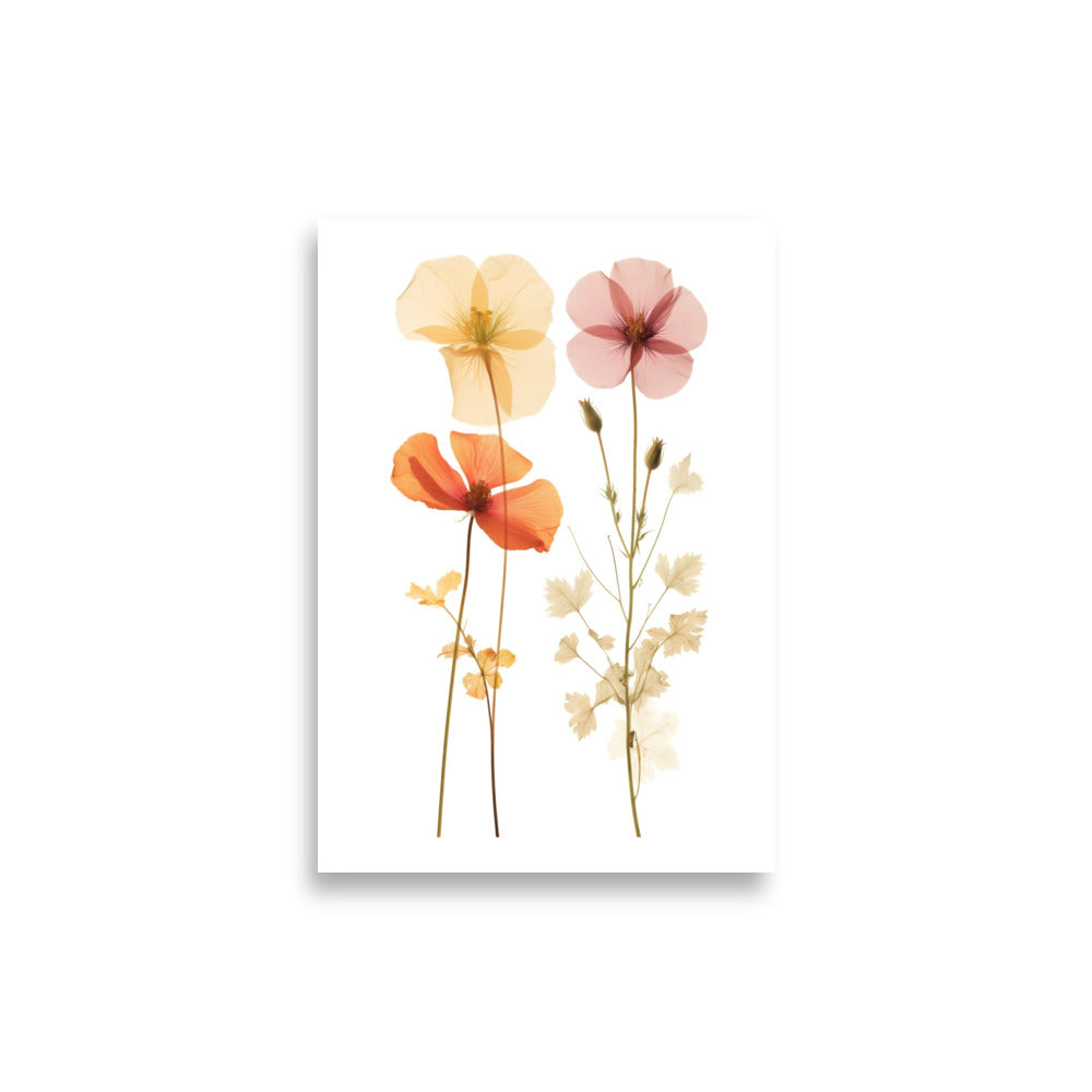 Pressed flowers poster - Posters - EMELART