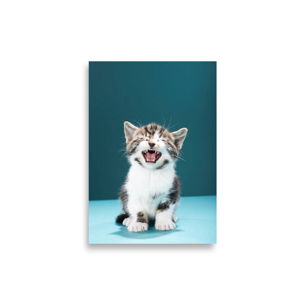 Cat poster - Posters - EMELART