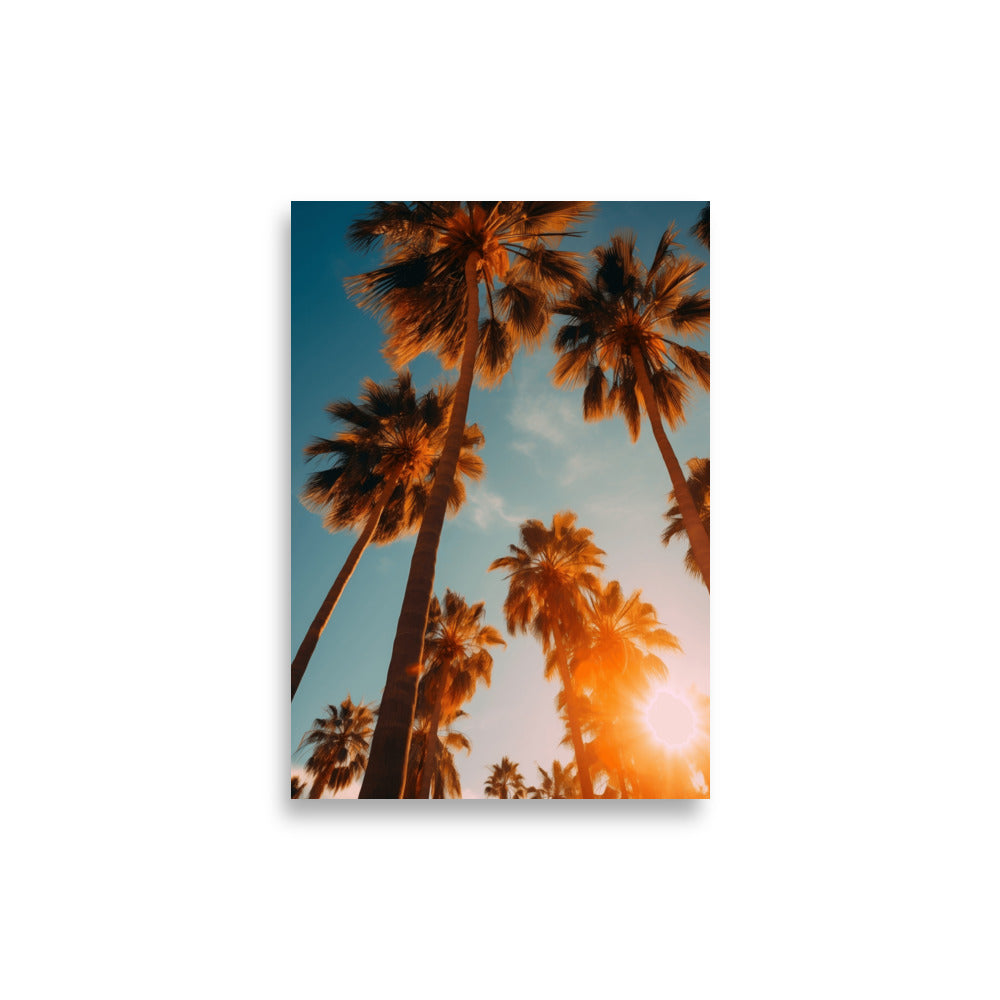 Palm trees poster - Posters - EMELART