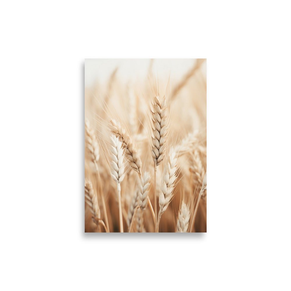 Wheat poster - Posters - EMELART