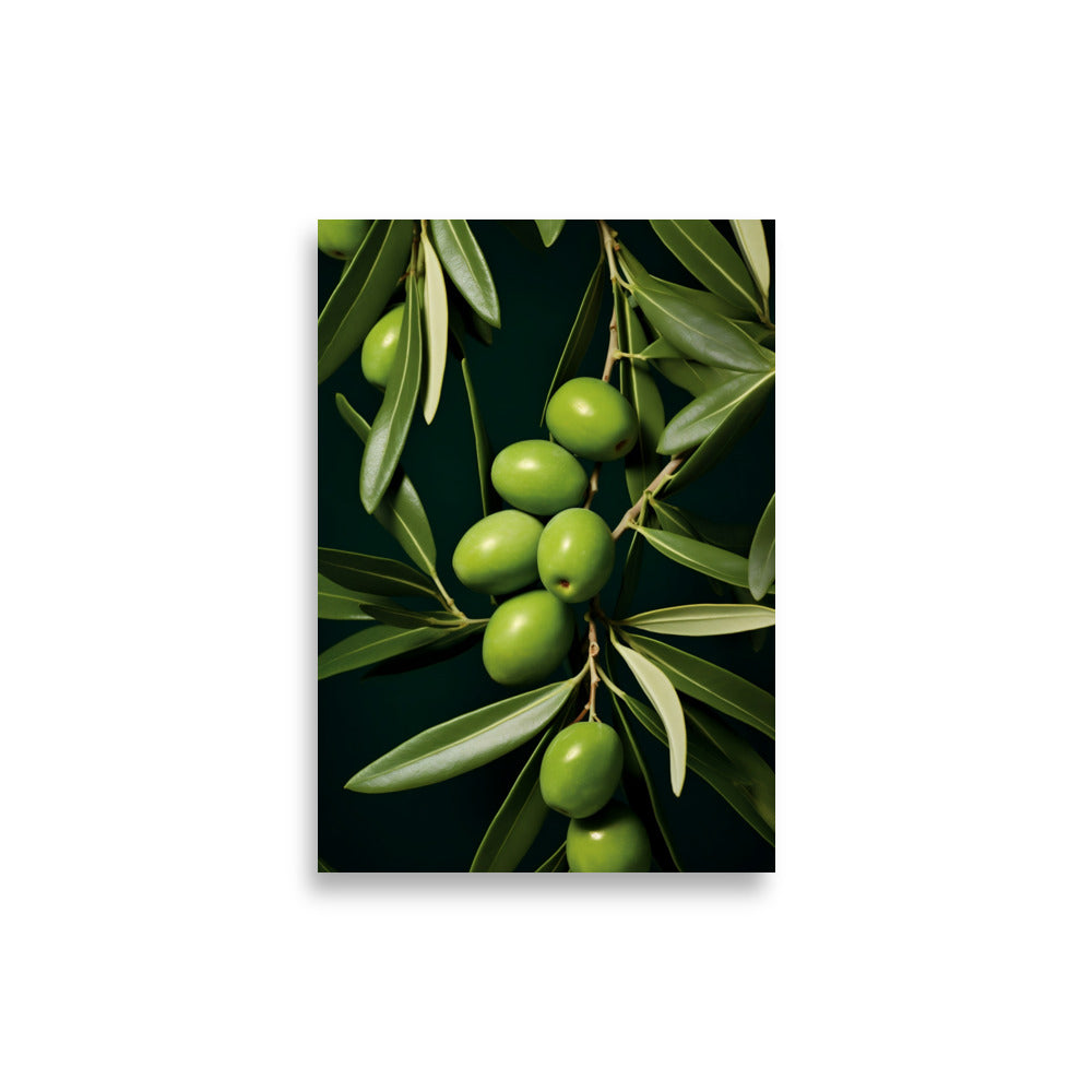 Olive poster - Posters - EMELART