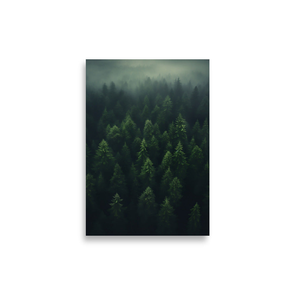 Forest poster - Posters - EMELART