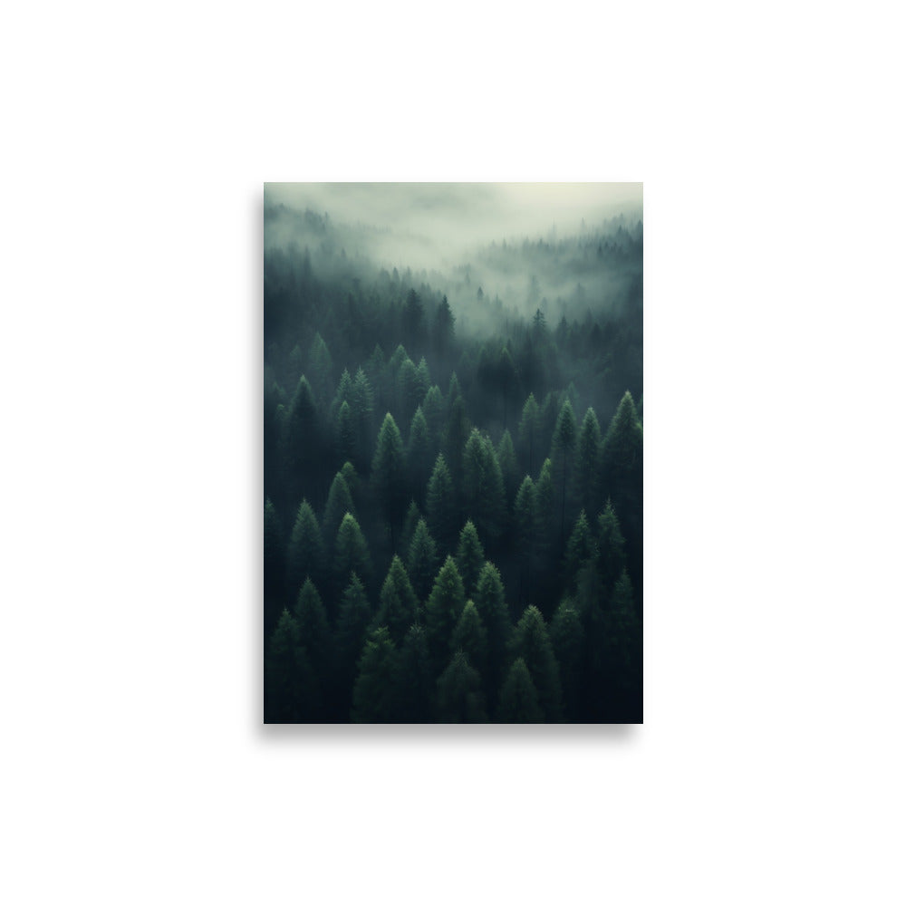 Forest poster - Posters - EMELART