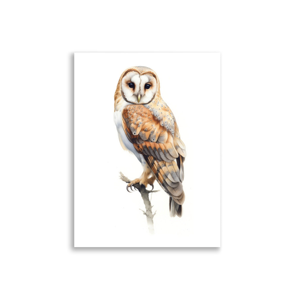 Owl poster - Posters - EMELART