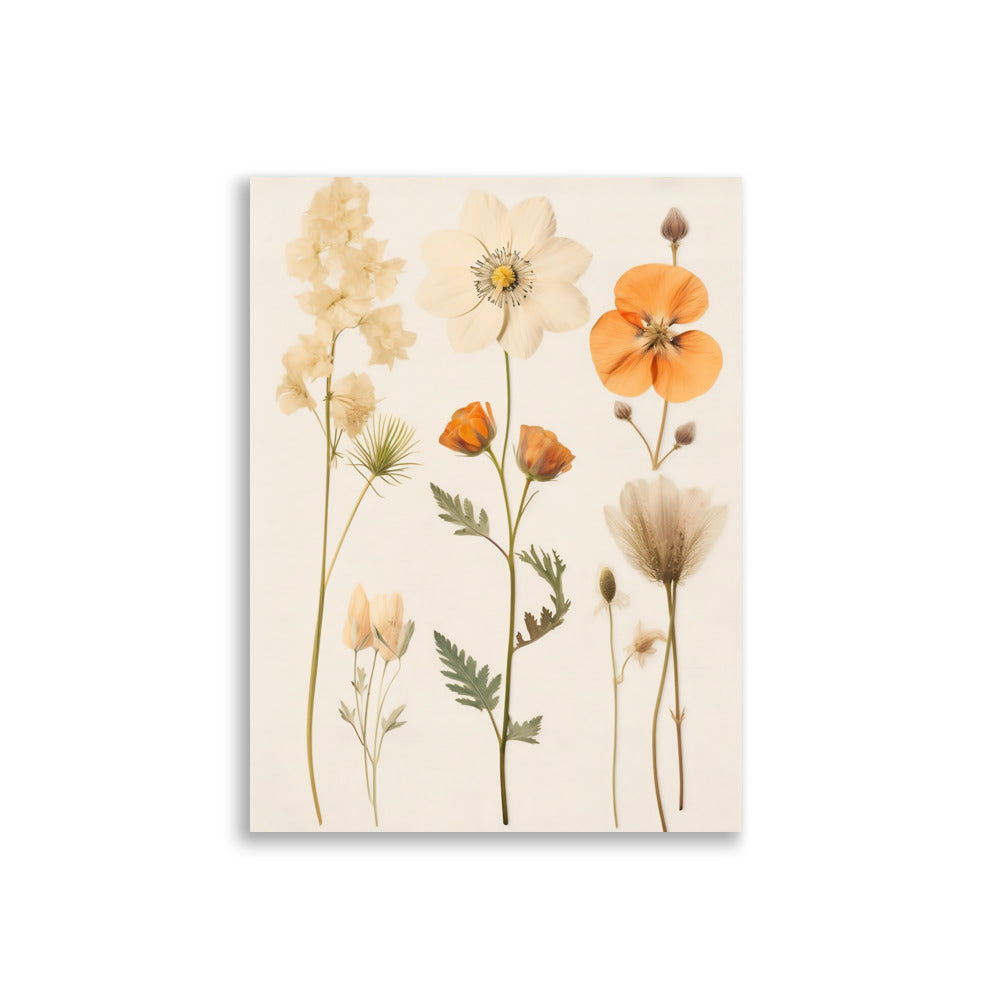 Pressed flowers poster - Posters - EMELART