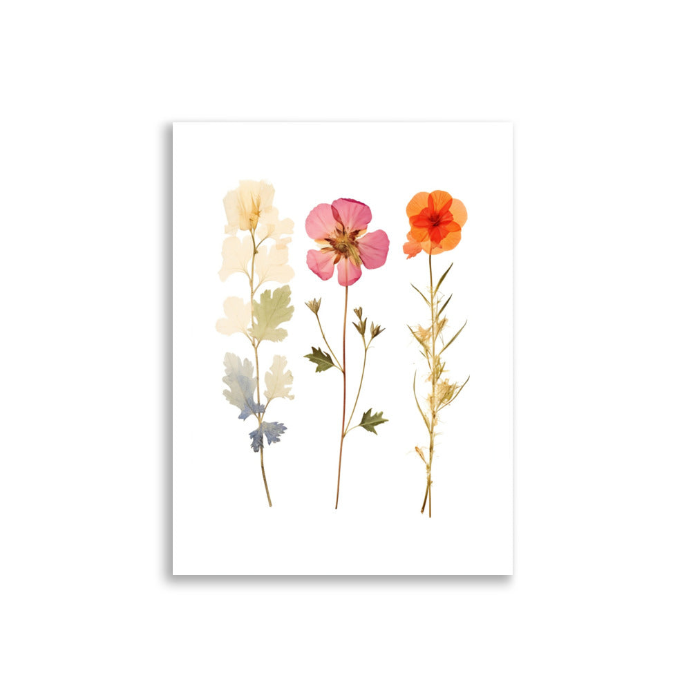 Pressed flowers poster - Posters - EMELART