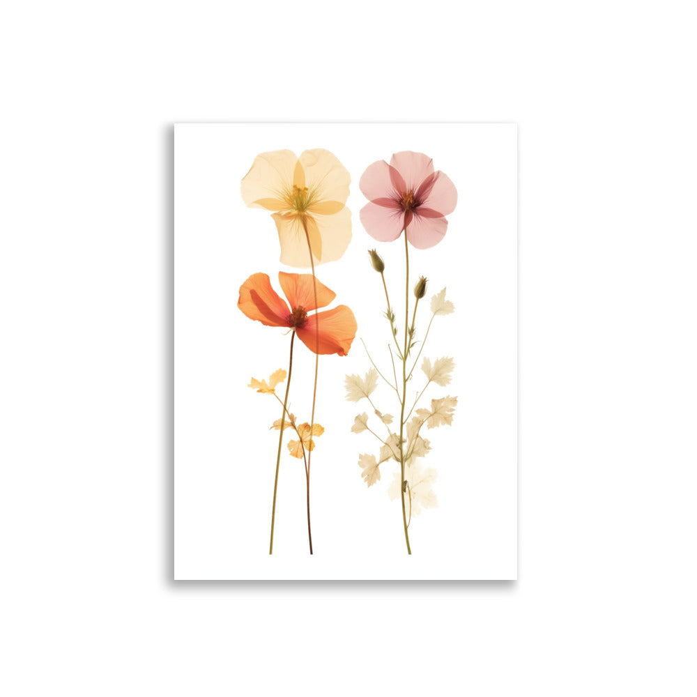 Pressed flowers poster - Posters - EMELART