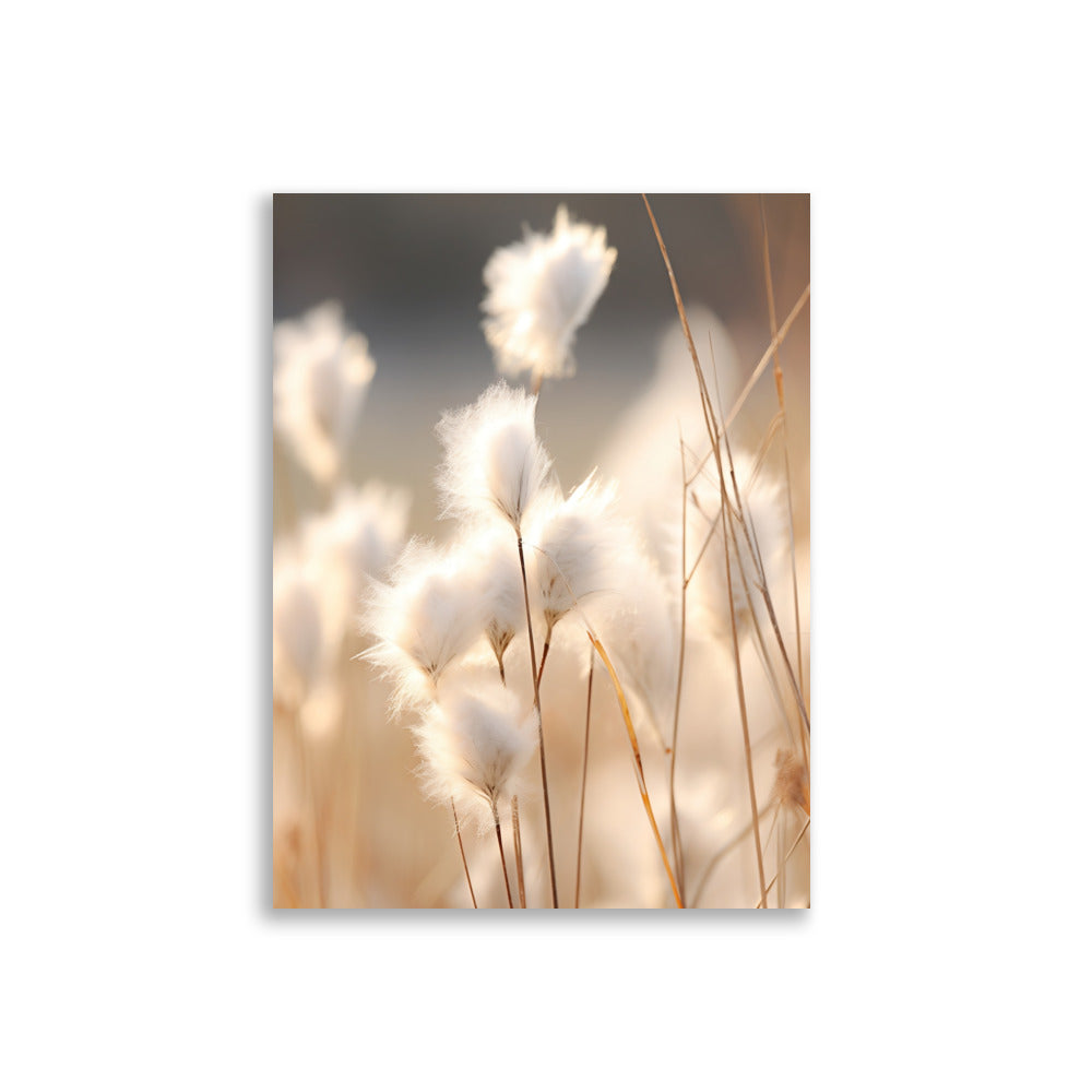 Cottongrass poster - Posters - EMELART