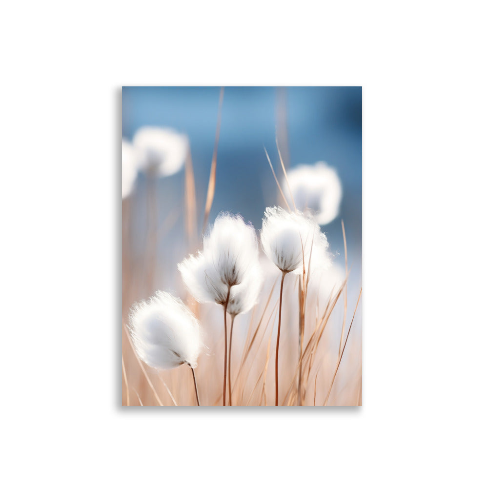 Cottongrass poster - Posters - EMELART