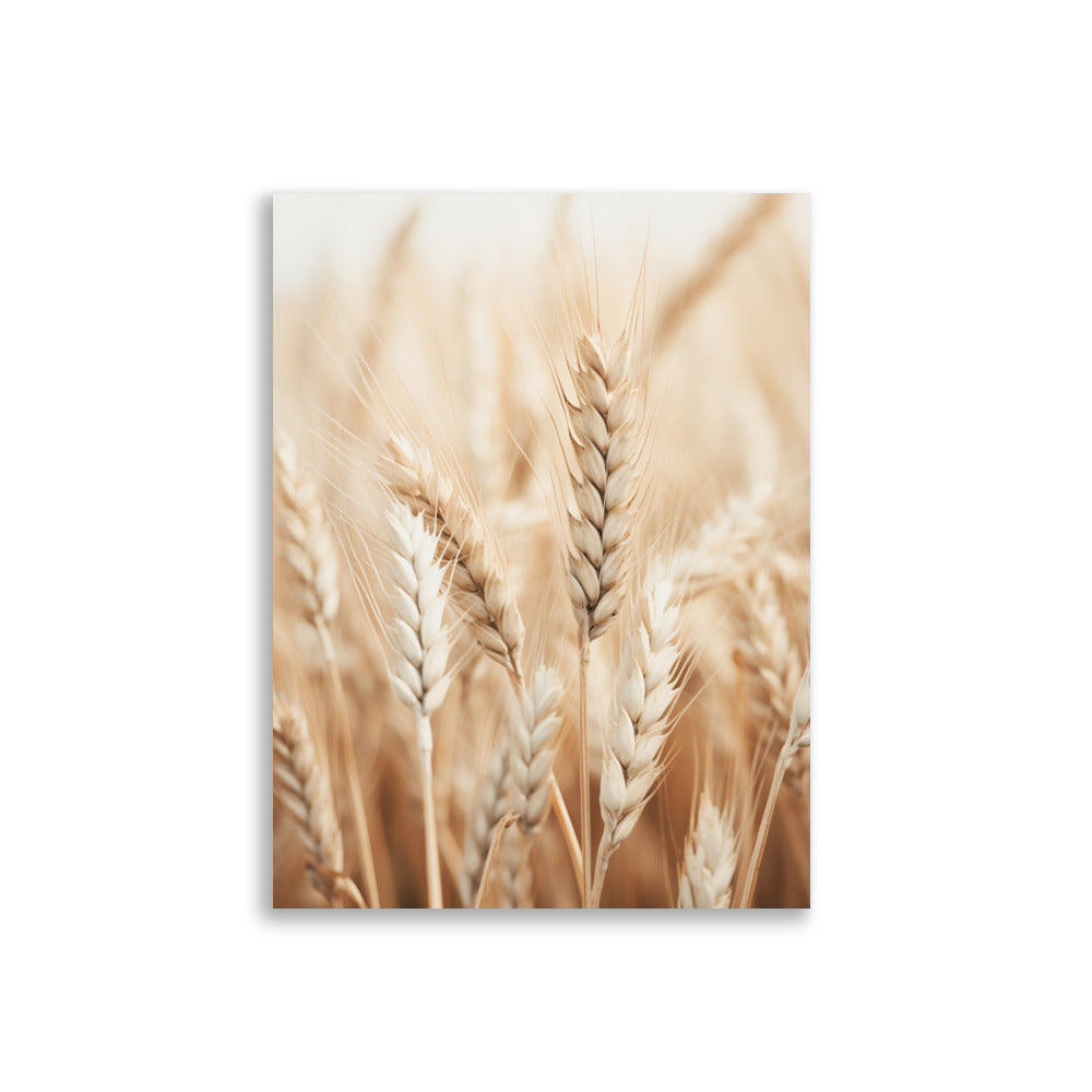 Wheat poster - Posters - EMELART