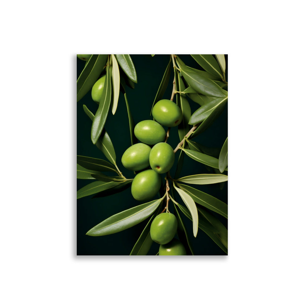 Olive poster - Posters - EMELART