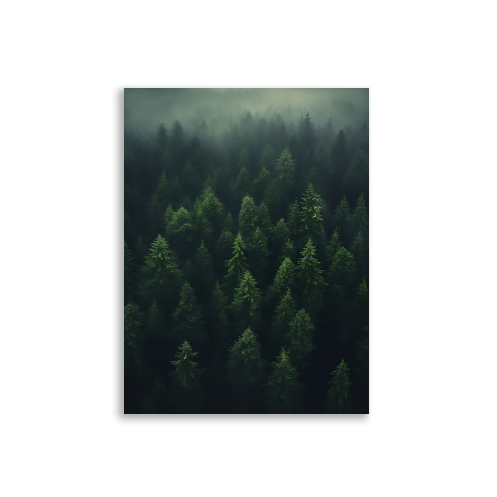 Forest poster - Posters - EMELART