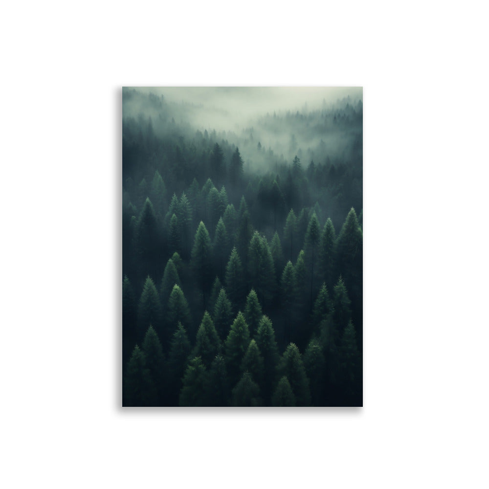 Forest poster - Posters - EMELART