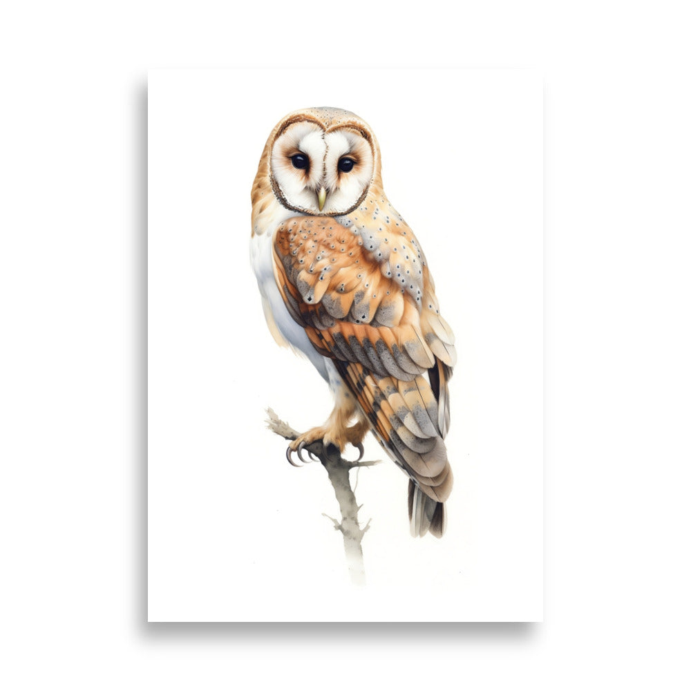 Owl poster - Posters - EMELART