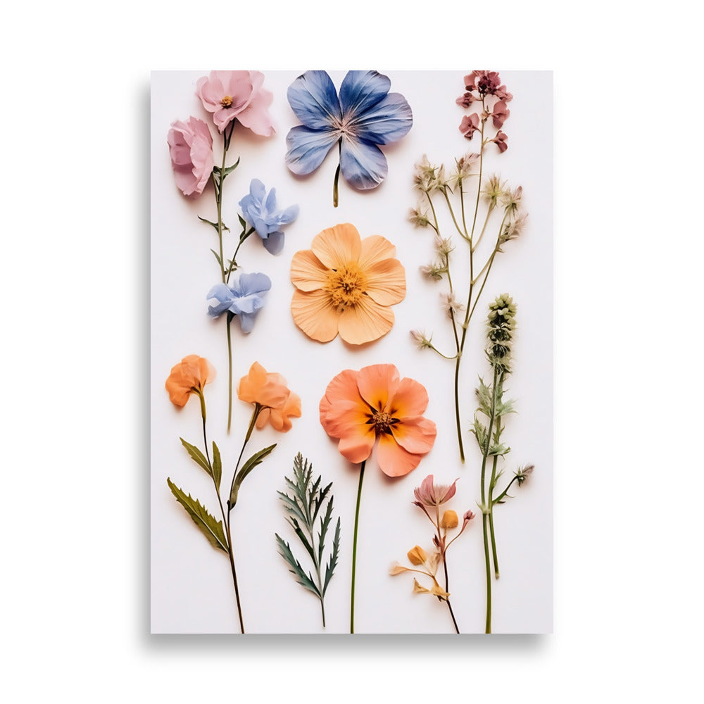 Pressed flowers poster - Posters - EMELART