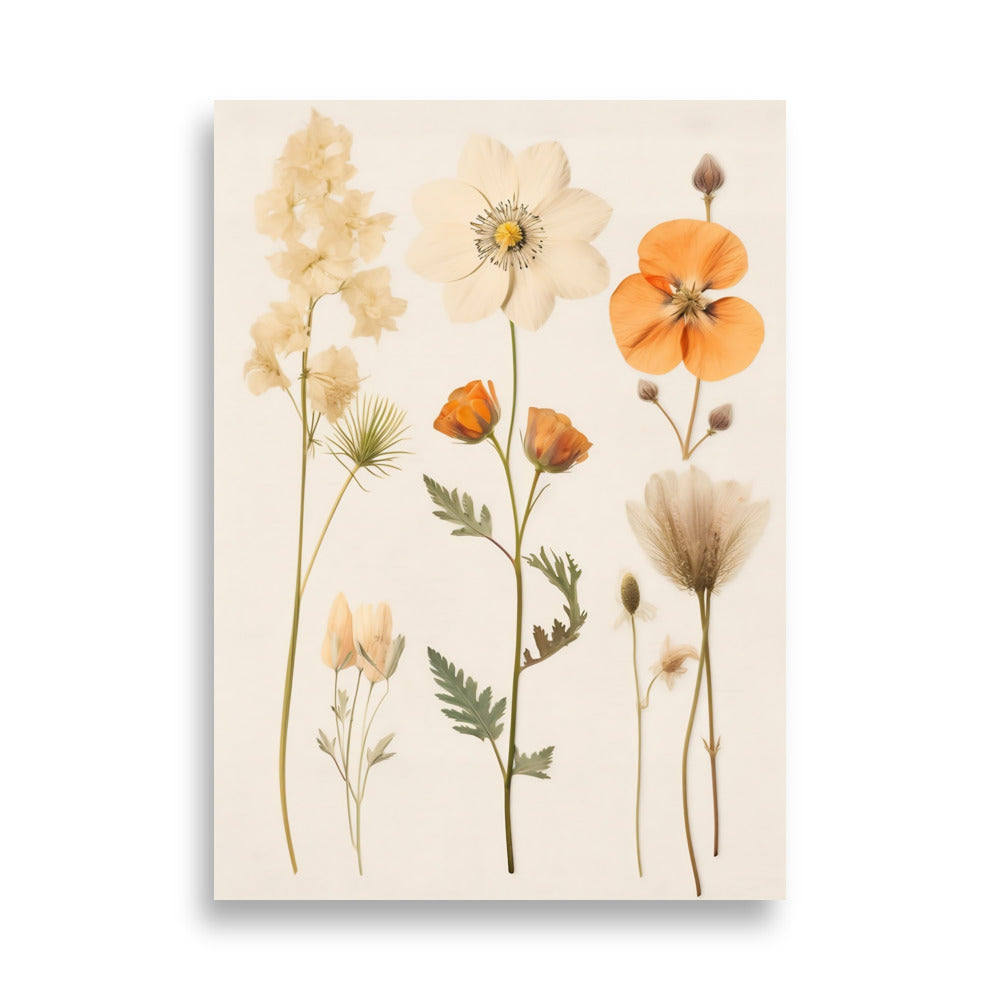 Pressed flowers poster - Posters - EMELART