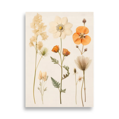 Pressed flowers poster - Posters - EMELART