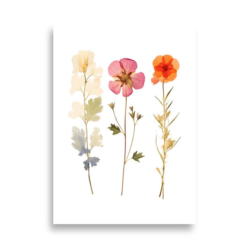 Pressed flowers poster - Posters - EMELART