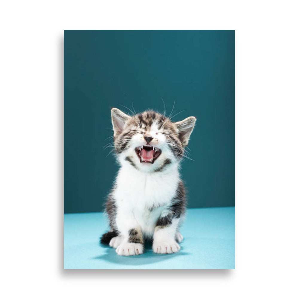 Cat poster - Posters - EMELART