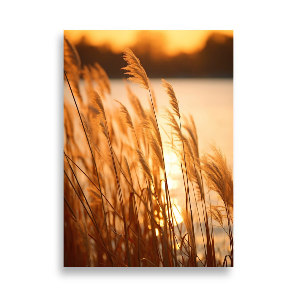 Reeds poster - Posters - EMELART