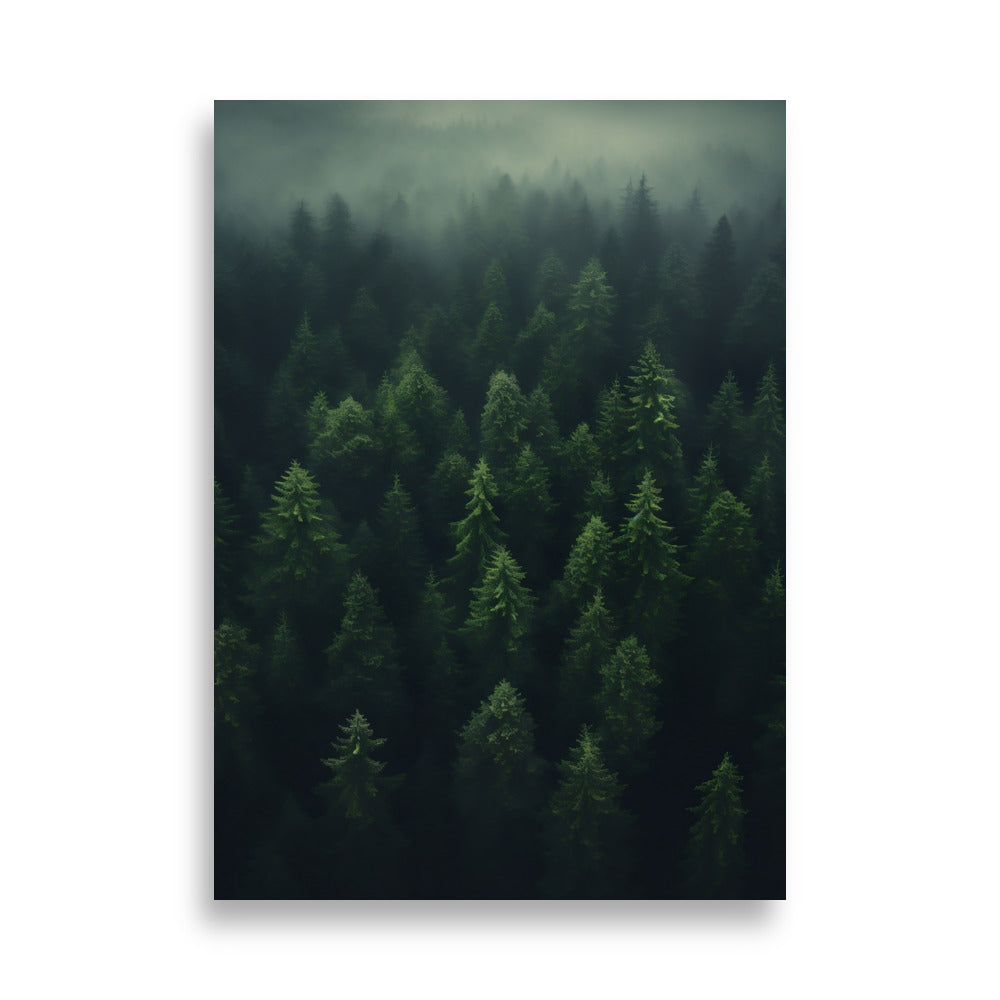 Forest poster - Posters - EMELART