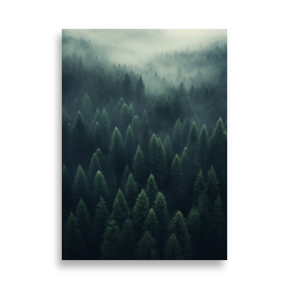 Forest poster - Posters - EMELART