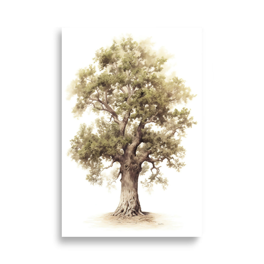 Oak tree poster - Posters - EMELART