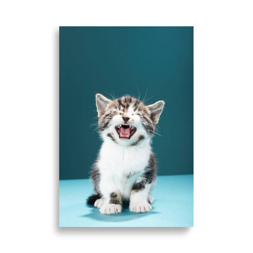 Cat poster - Posters - EMELART