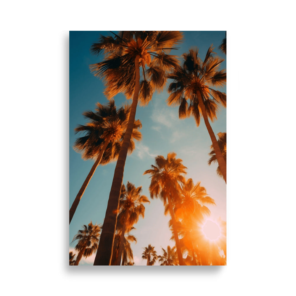 Palm trees poster - Posters - EMELART