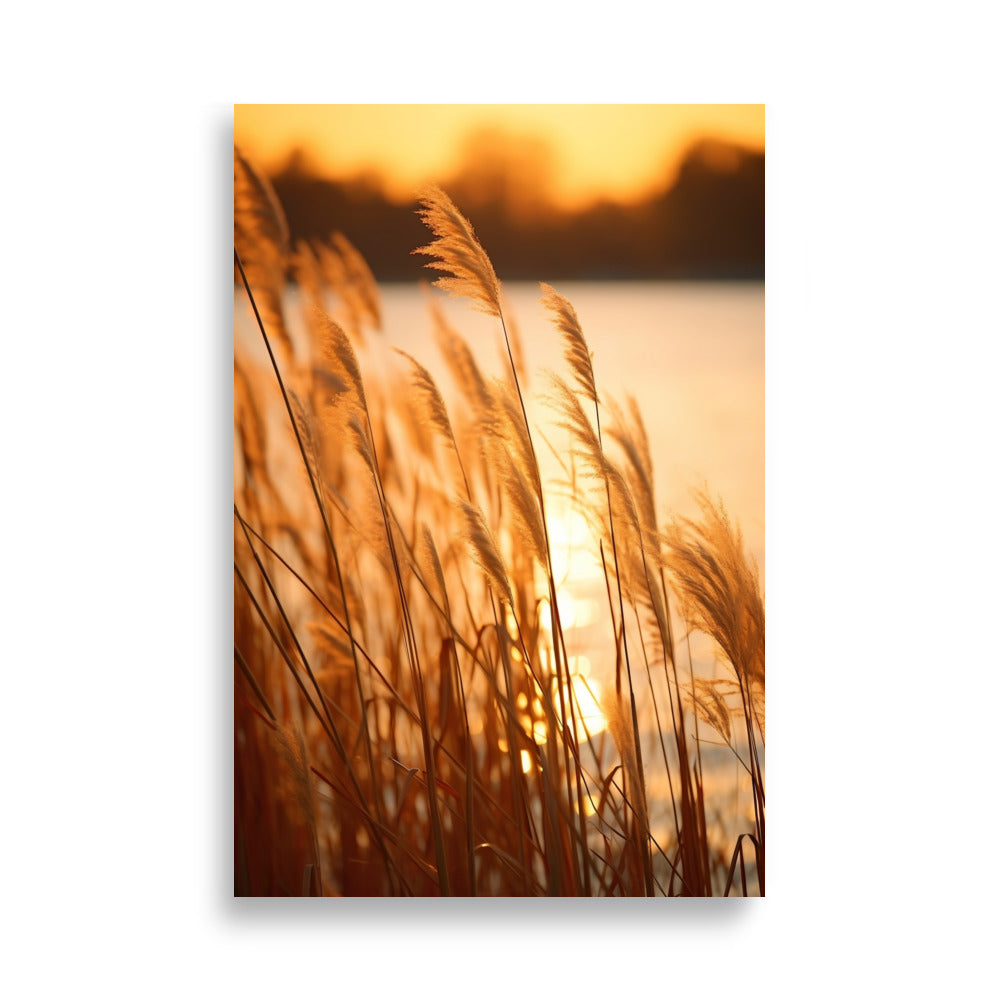 Reeds poster - Posters - EMELART