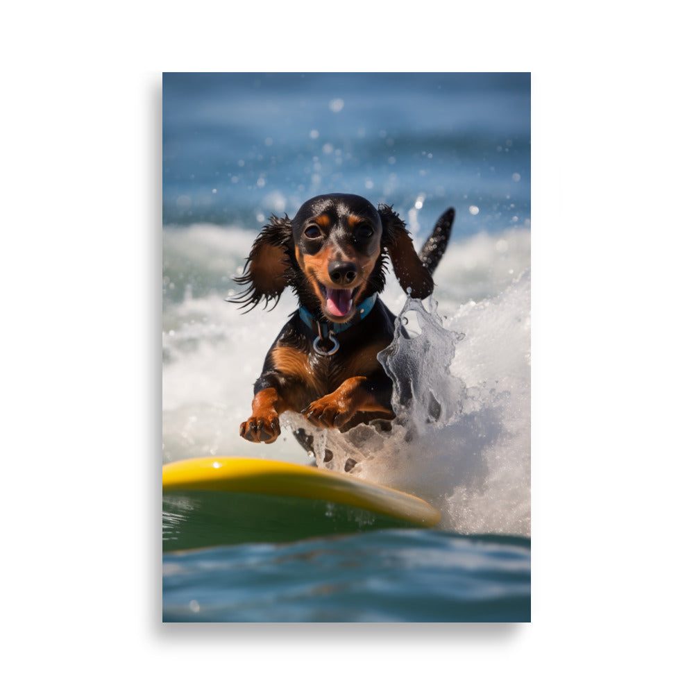 Surfing Dachshund poster - Posters - EMELART