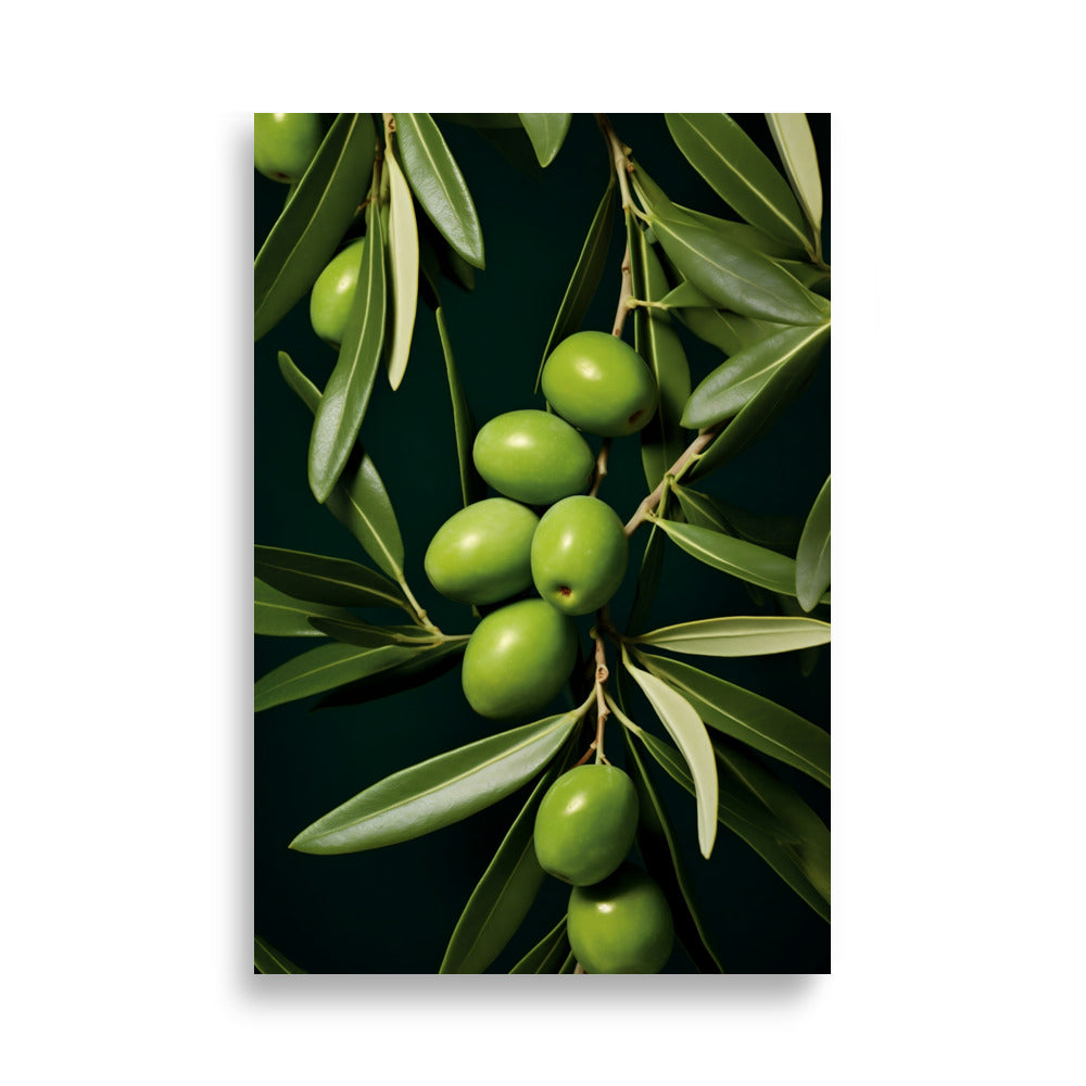 Olive poster - Posters - EMELART