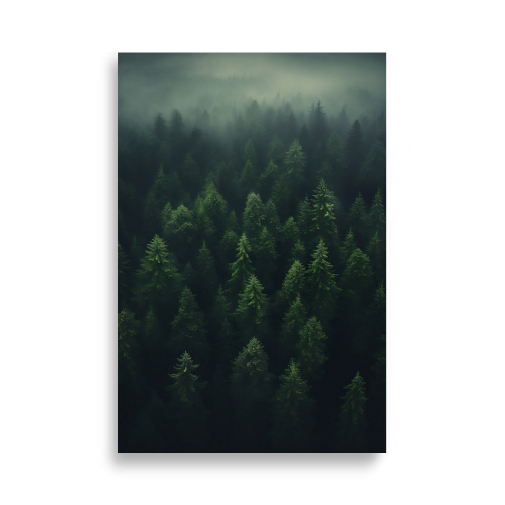 Forest poster - Posters - EMELART