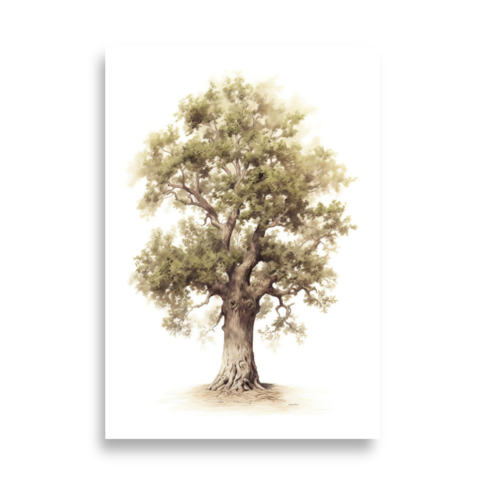 Oak tree poster - Posters - EMELART