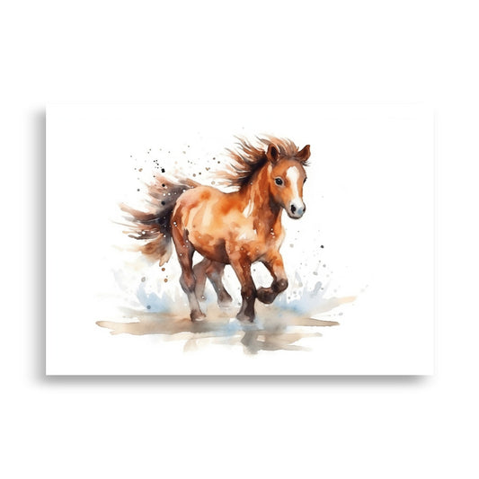 Baby horse poster - Posters - EMELART