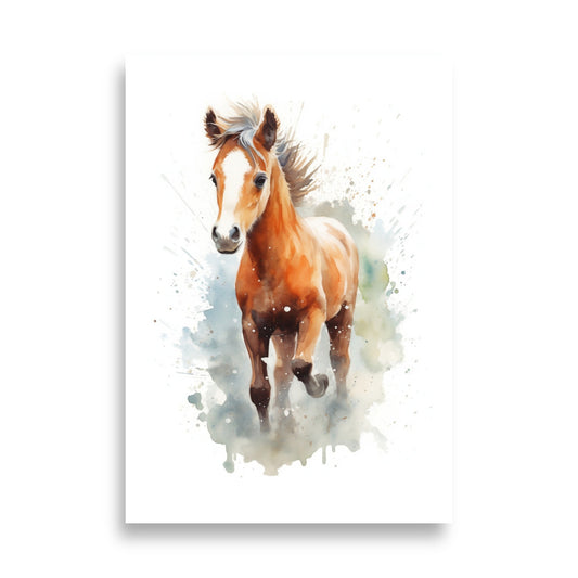 Baby horse poster - Posters - EMELART