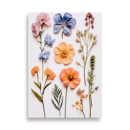 Pressed flowers poster - Posters - EMELART