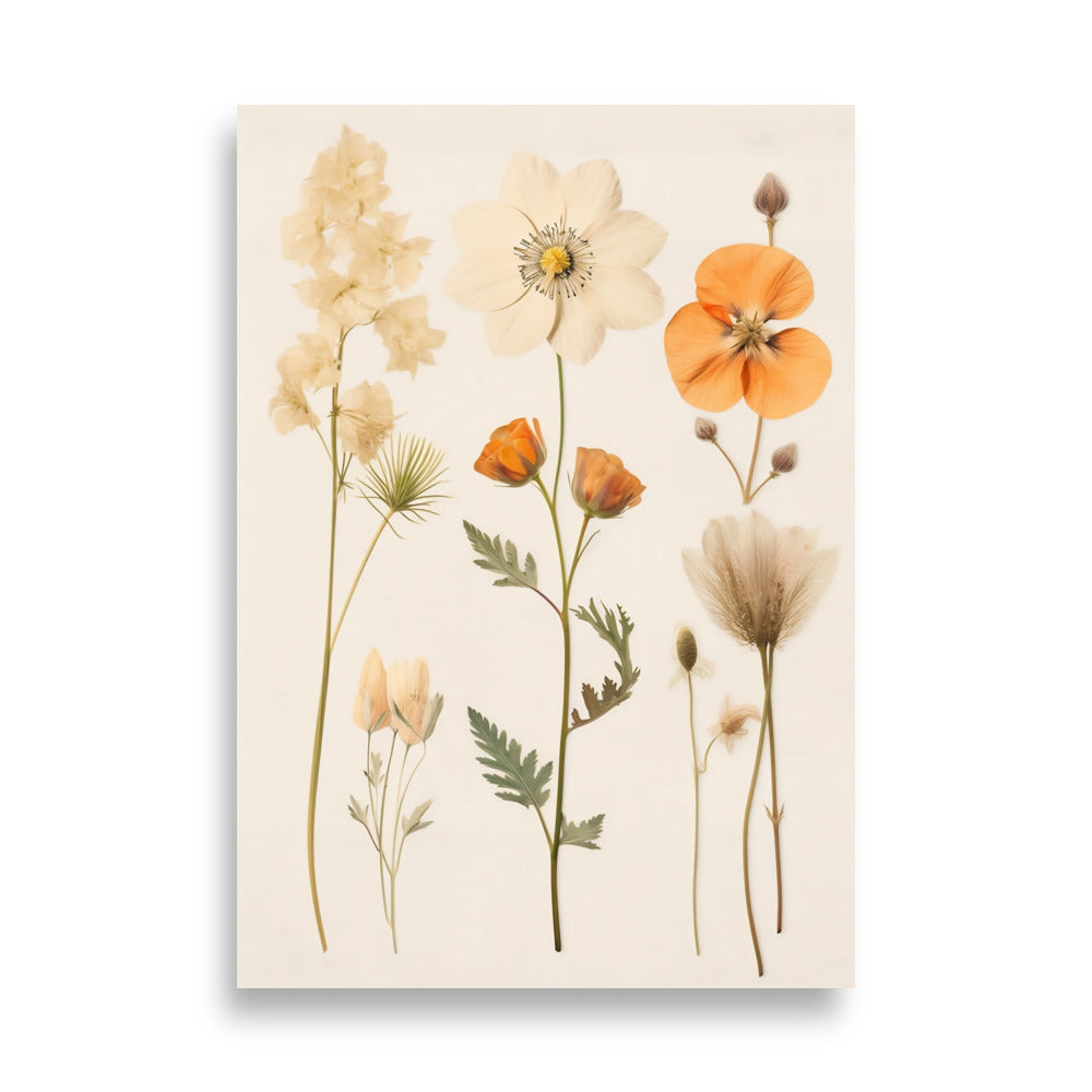 Pressed flowers poster - Posters - EMELART