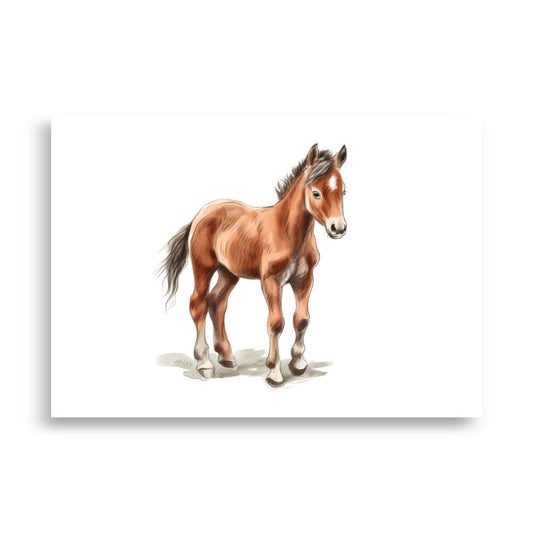 Baby horse poster - Posters - EMELART