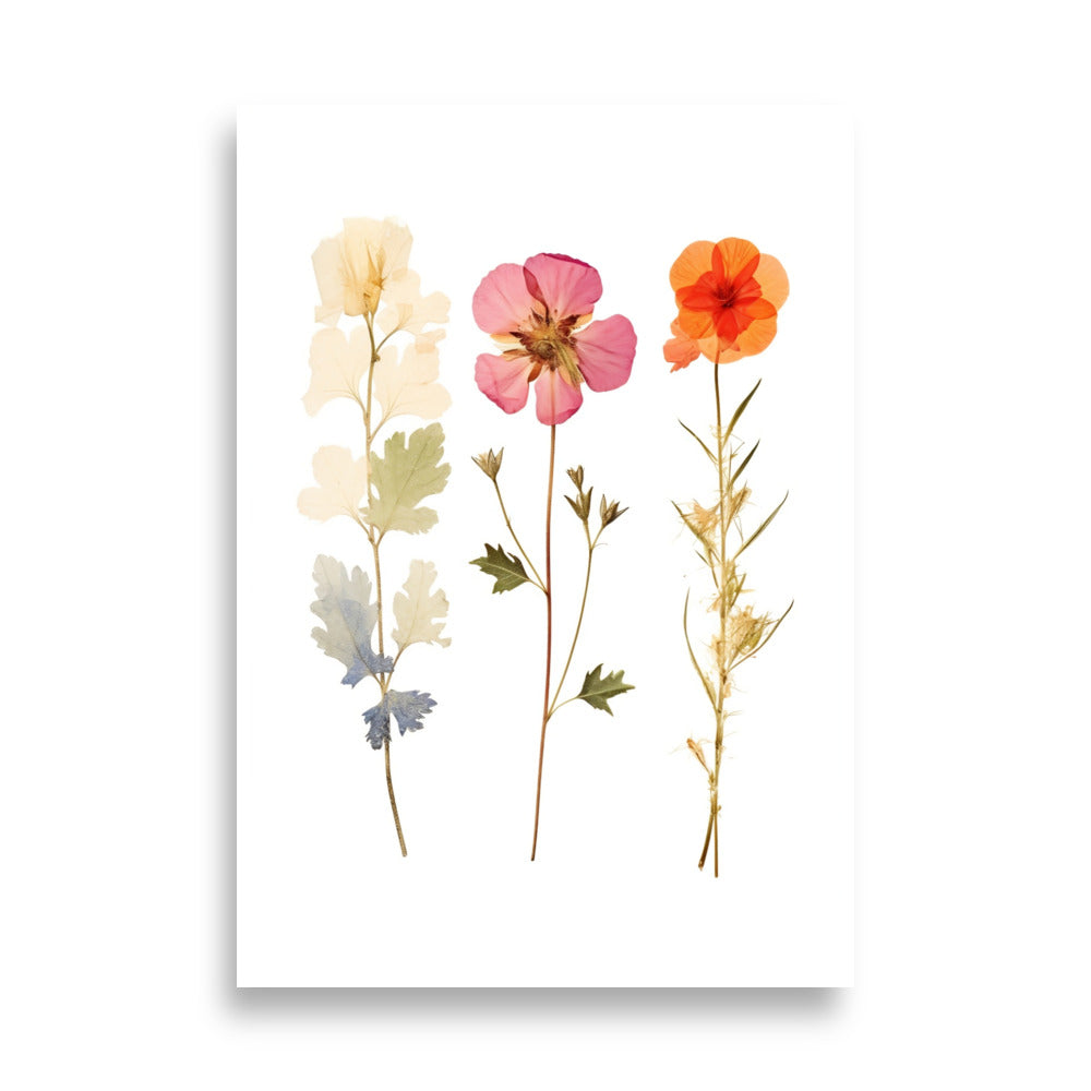 Pressed flowers poster - Posters - EMELART